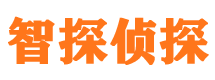 东兰侦探公司